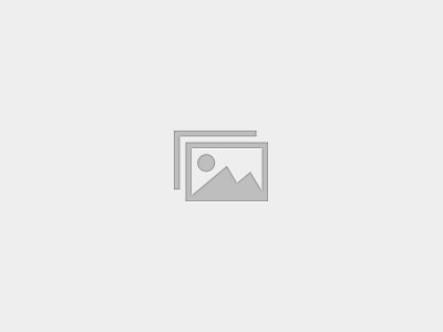 Professional Tax Preparation Level I